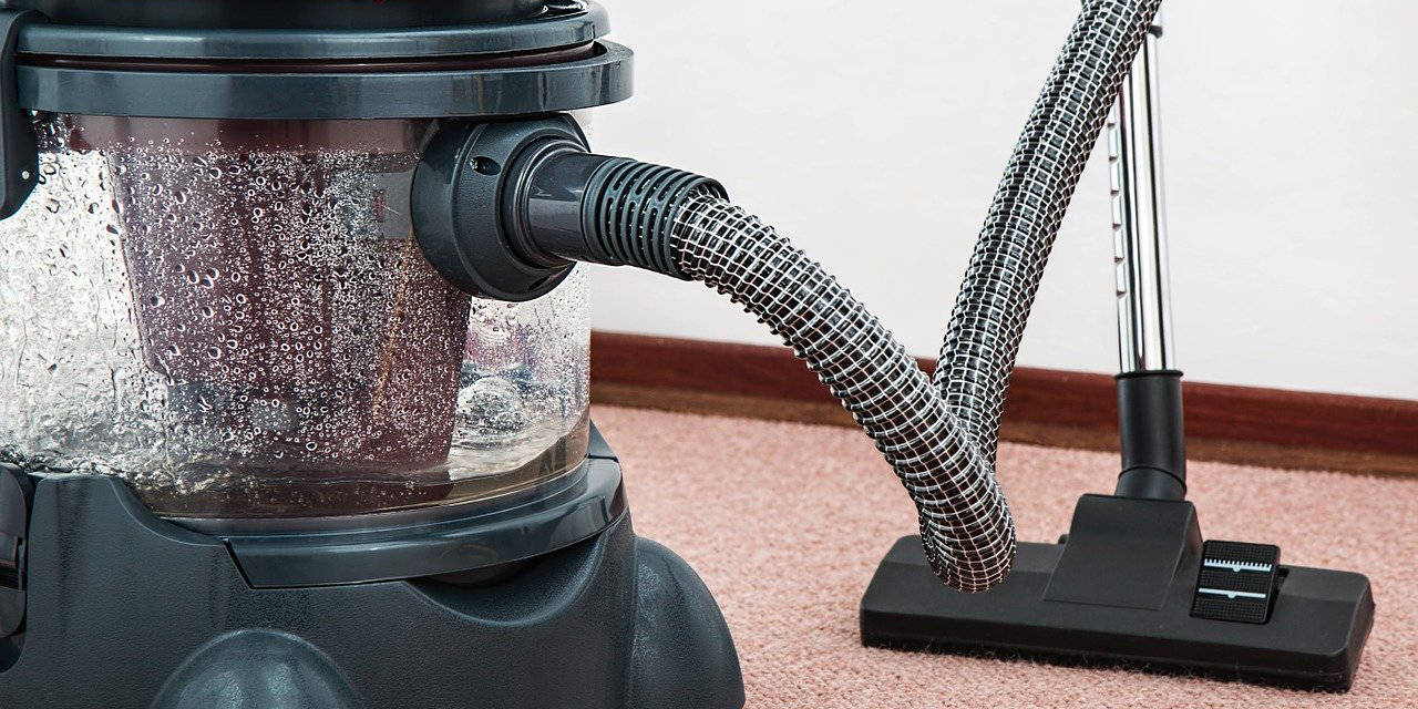 usage of carpet cleaners in pest prevention