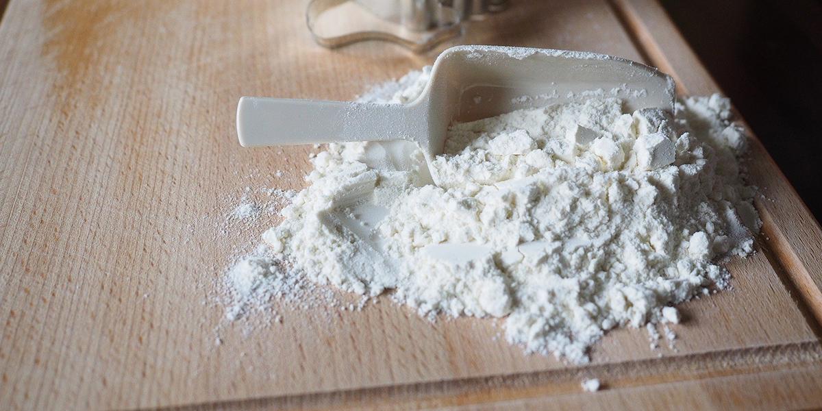 flour mites