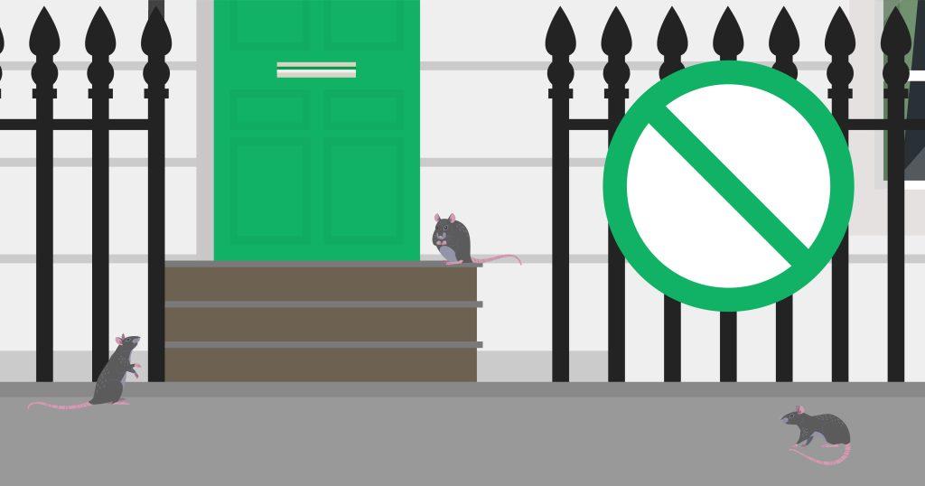 How to prevent rodent infestation in London