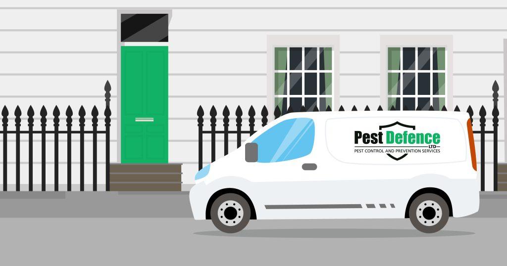Rodent control from Pest Defence